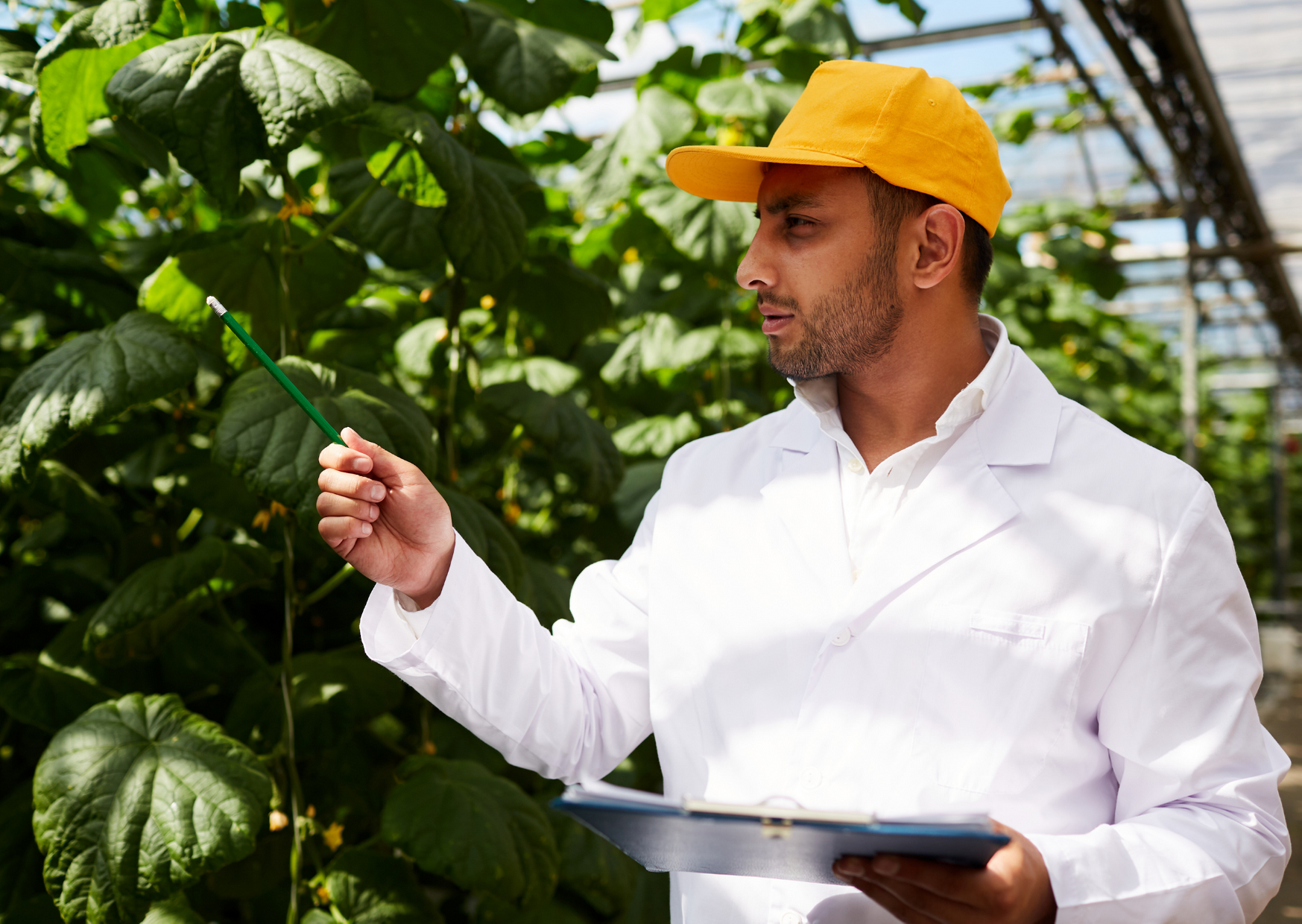 Publicación DUE -el día 28 de diciembre- del Reglamento 2020/2220